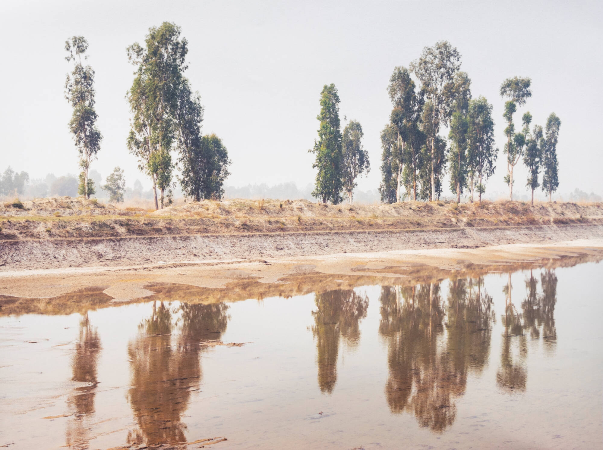 Color photograph of a landscape. Sparce row of trees in the distance are reflected in water along a sandy shoreline.